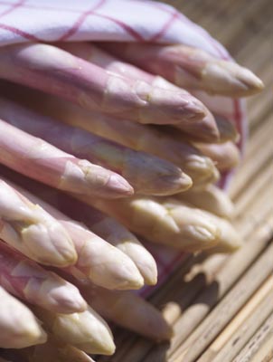 Spargel
